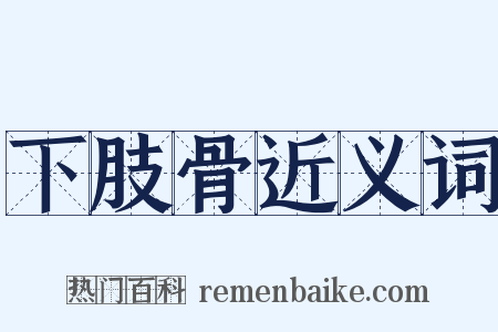 下肢骨近义词是什么意思的图片